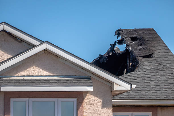 Top rated local Odor Removal specialists in Wrightstown, WI